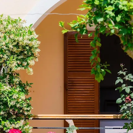 Ilena Hotel Acharavi (Corfu)