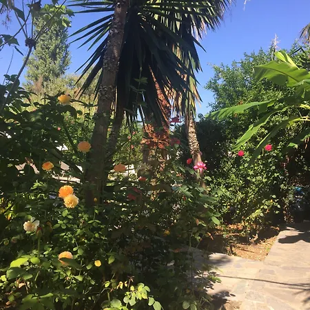 Ilena Hotel Acharavi (Corfu)