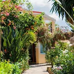 Ilena 2* Acharavi (Corfu)